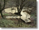 work-way decking32.jpg